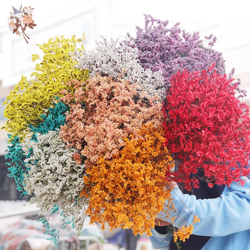 Dried Flowers Natural Crystal  - Outdoor Furniture Rh ulasan dan harga